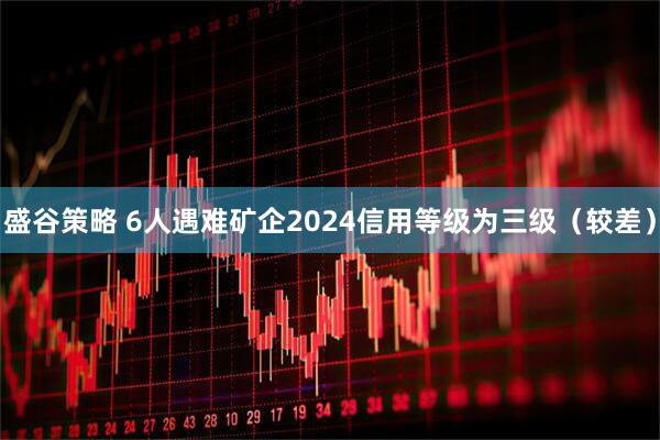 盛谷策略 6人遇难矿企2024信用等级为三级（较差）