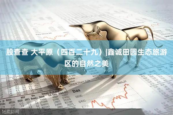 股查查 大平原（四百二十九）|鑫诚田园生态旅游区的自然之美
