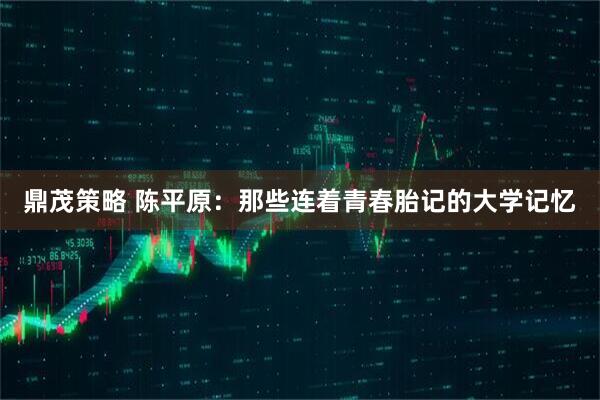 鼎茂策略 陈平原：那些连着青春胎记的大学记忆