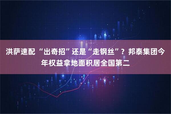 洪萨速配 “出奇招”还是“走钢丝”？邦泰集团今年权益拿地面积居全国第二
