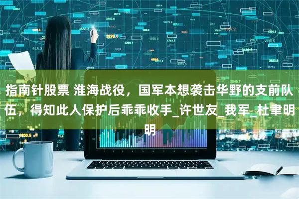 指南针股票 淮海战役，国军本想袭击华野的支前队伍，得知此人保护后乖乖收手_许世友_我军_杜聿明